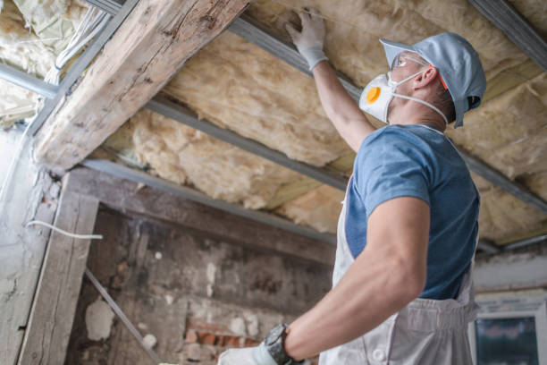 Best Crawl Space Insulation  in Bridgeport, PA