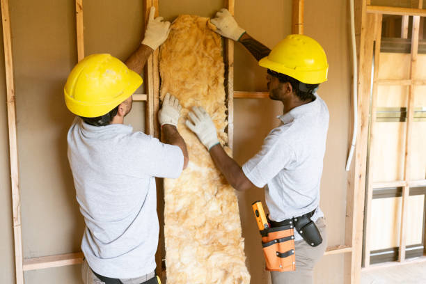 Best Best Insulation Companies  in Bridgeport, PA