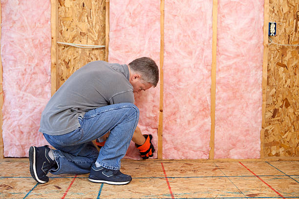 Best Attic Insulation Installation  in Bridgeport, PA