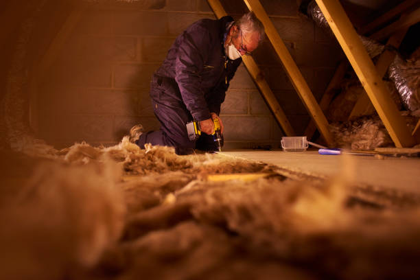 Best Home Insulation Services  in Bridgeport, PA